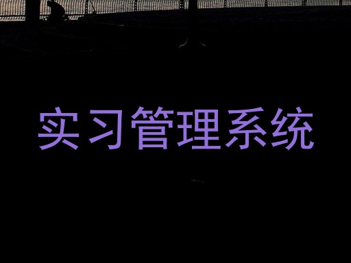 实习管理系统