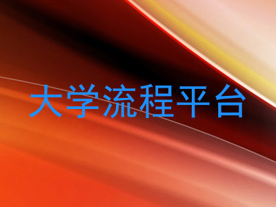 大学流程平台