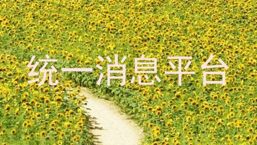 统一消息平台