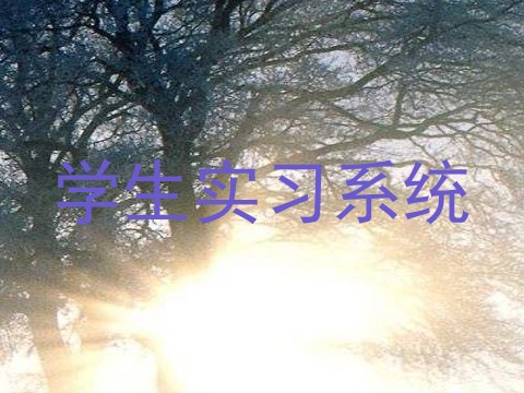 学生实习系统
