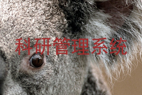 科研管理系统