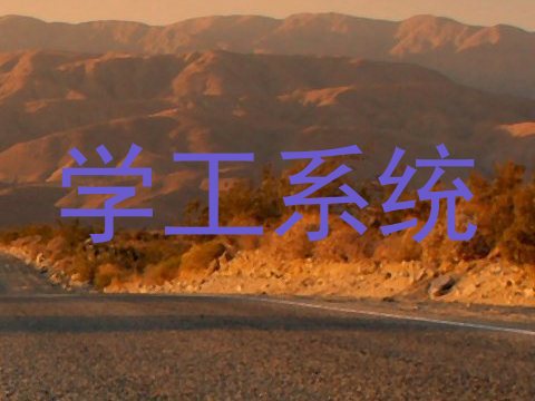 学工系统