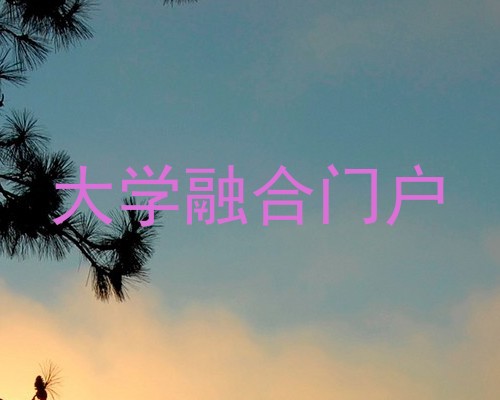 大学融合门户