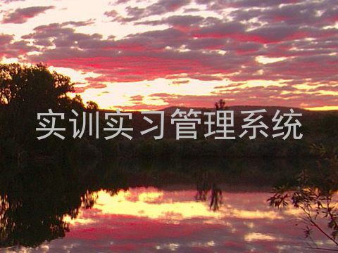 实训实习管理系统