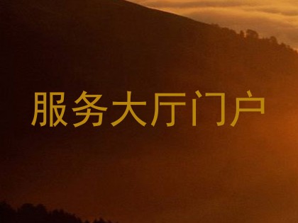 服务大厅门户