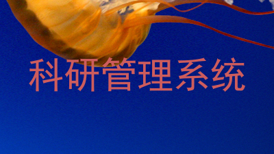 科研管理系统