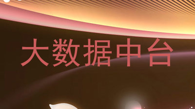 大数据中台