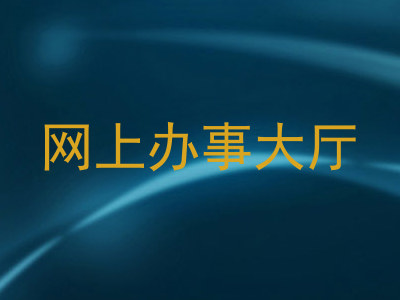 网上办事大厅