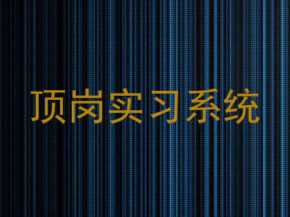 顶岗实习系统