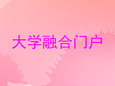大学融合门户