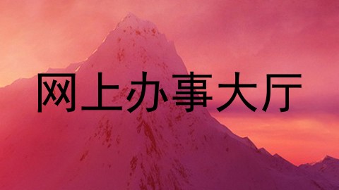 网上办事大厅