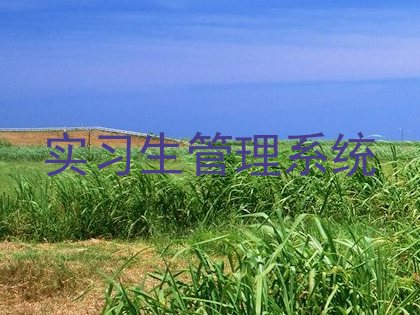 实习生管理系统