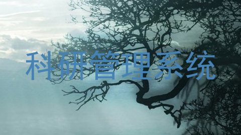 科研管理系统