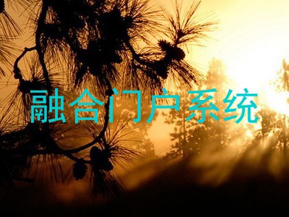 融合门户系统