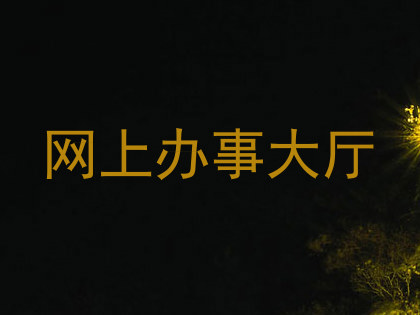 网上办事大厅