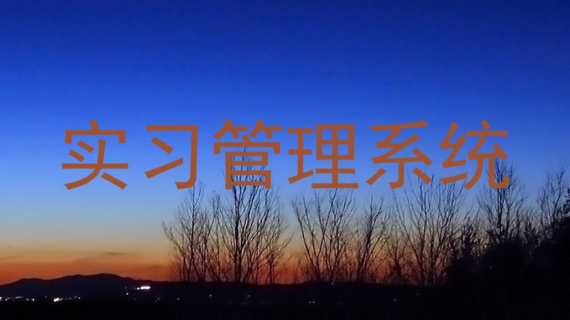 实习管理系统