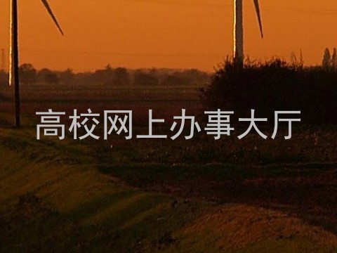 高校网上办事大厅