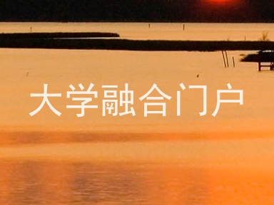 大学融合门户