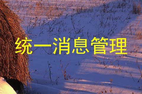 统一消息管理