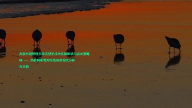 高校科研管理系统选型阶段的实操困境与应对策略
## 一、高校科研管理系统选型现状分析
在当前