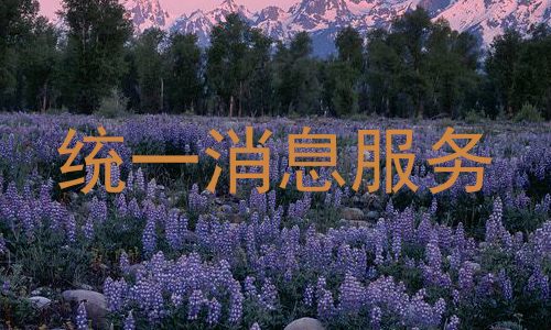 统一消息服务