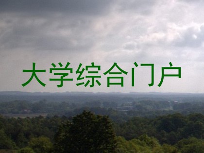 大学综合门户