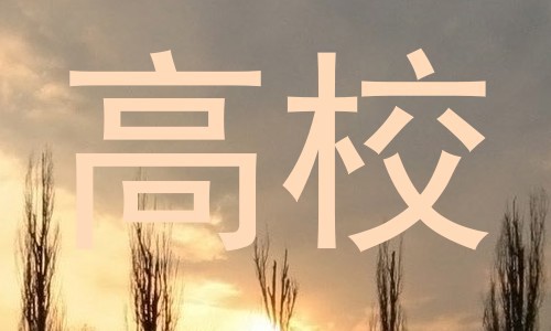 高校