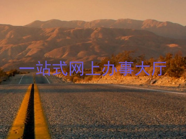 一站式网上办事大厅