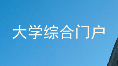 大学综合门户