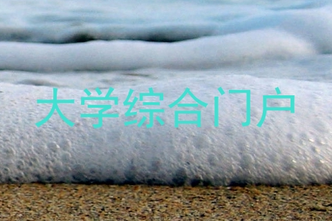 大学综合门户