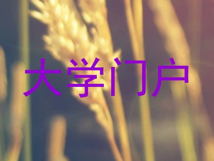 大学门户