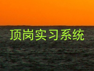 顶岗实习系统