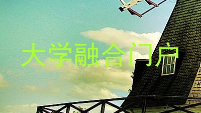 大学融合门户