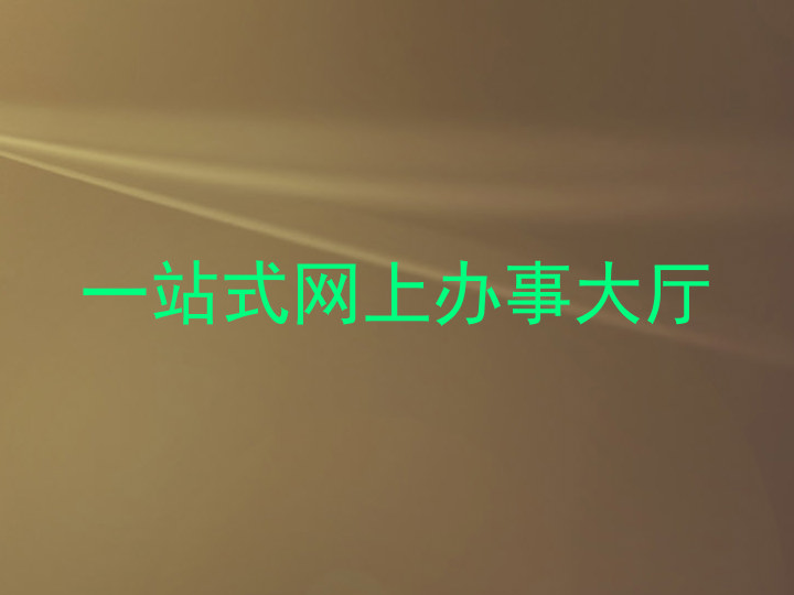 一站式网上办事大厅
