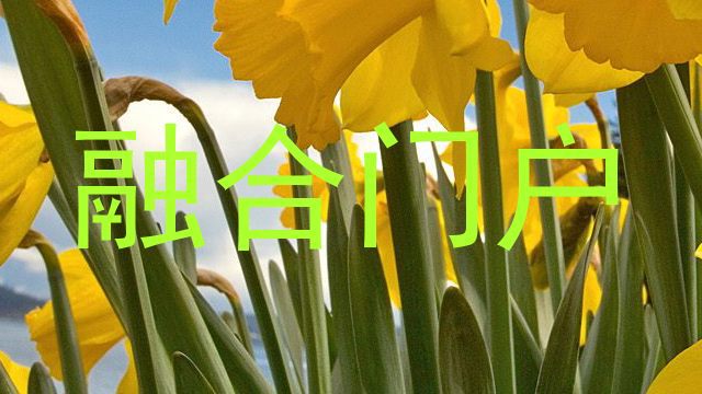 融合门户