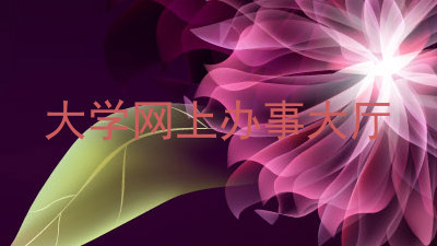 大学网上办事大厅