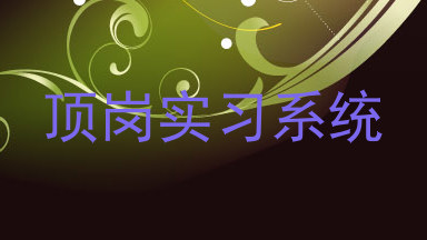 顶岗实习系统