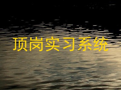 顶岗实习系统