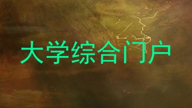 大学综合门户
