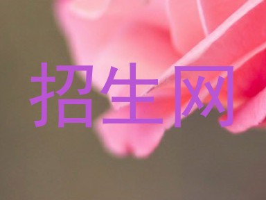 招生网