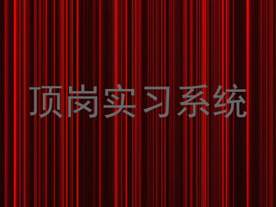 顶岗实习系统