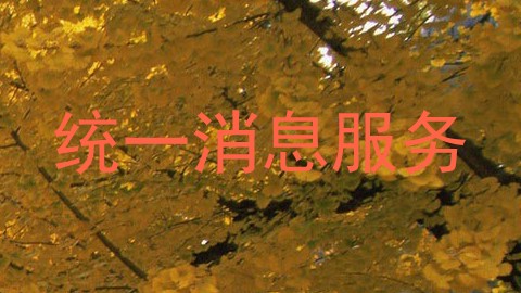 统一消息服务