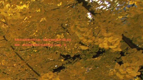 高校科研管理系统选型:数据驱动的科学决策路径
摘要:高校科研管理系统选型需结合功能、技