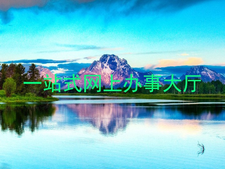 一站式网上办事大厅