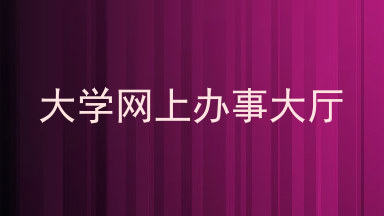 大学网上办事大厅