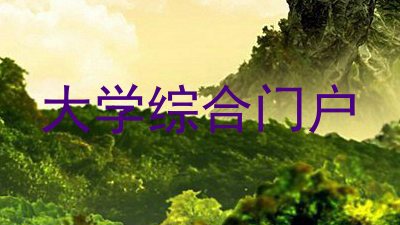 大学综合门户