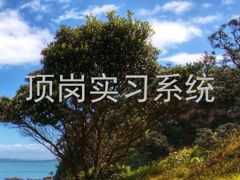 顶岗实习系统
