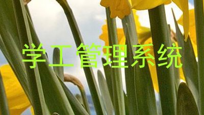 学工管理系统