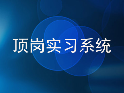 顶岗实习系统