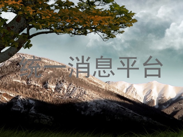 统一消息平台